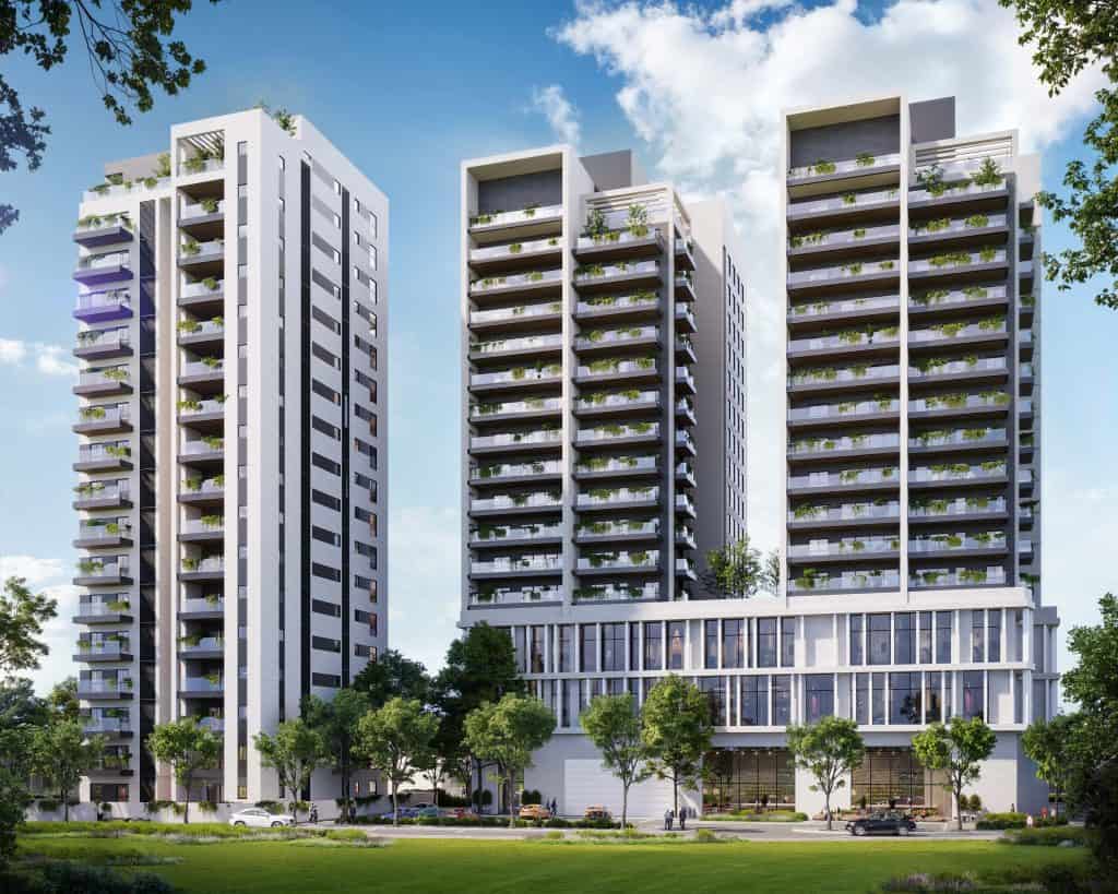 ז'בוטינסקי כלניות 1