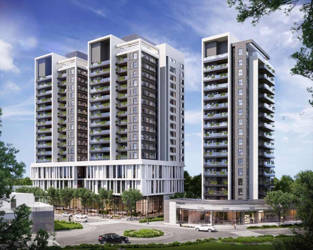 ז'בוטינסקי כלניות 2