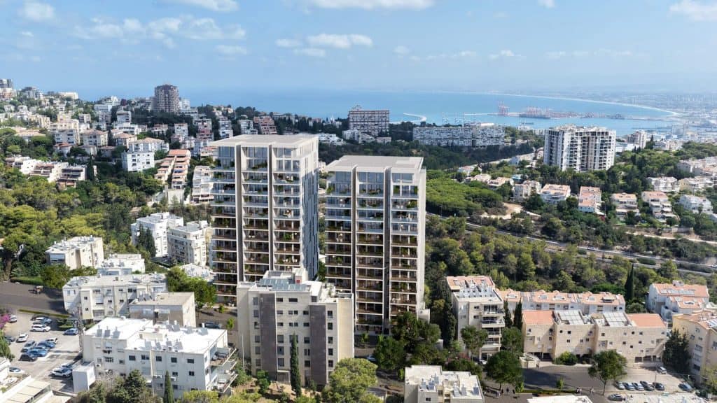 תמונה3